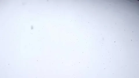 Snowfall in middle of the day. Snowflakes fall in flakes against the white sky. Stock Footage 262577555