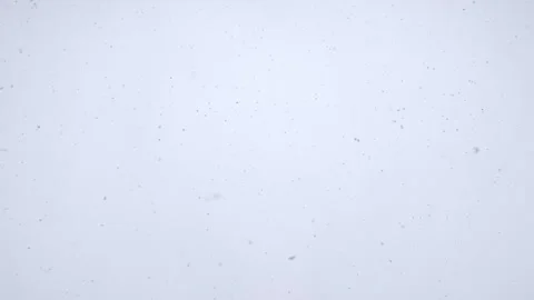 Snowfall in middle of the day. Snowflakes fall in flakes against the white sky. Stock Footage 262577674