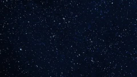 Snowfall in a Midnight Blue Sky 4K Loop Stock Footage 313084338
