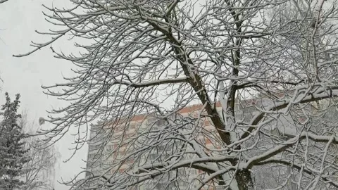 Snowfall in the Moscow courtyard 스톡 동영상 146711442
