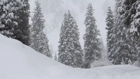 Snowfall in the mountain area Video stock 70373910