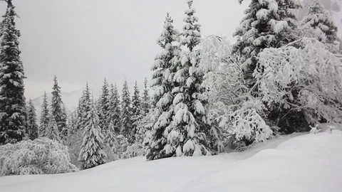 Snowfall in the mountain area Stock Footage 70374591