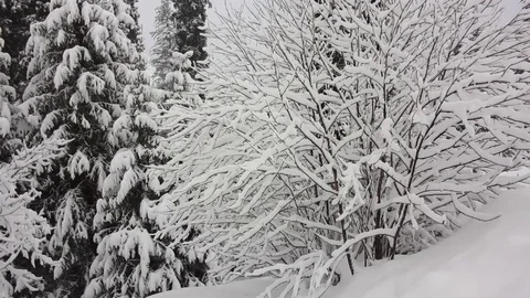 Snowfall in the mountain area Video stock 70374838