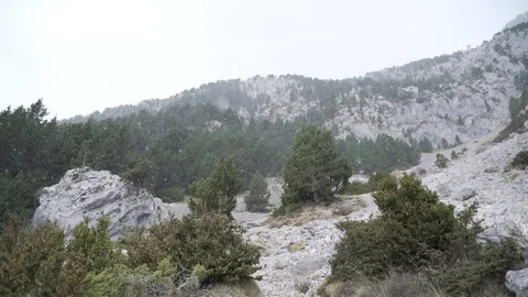 Snowfall on mountain Video stock 126826620