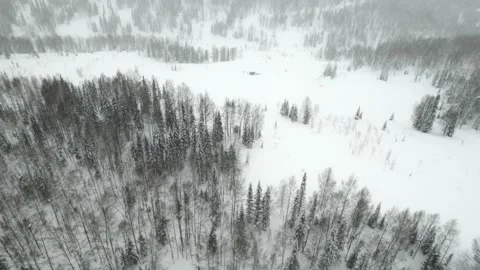 Snowfall in the mountain forest Vidéo 171575157