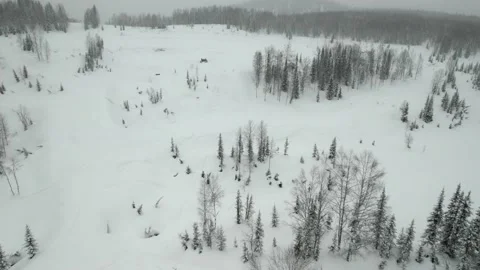 Snowfall in mountains and forest Vidéo 171575744