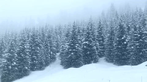 Snowfall in the mountains covered with forest. Beautiful winter landscape. Stock Footage 160422016