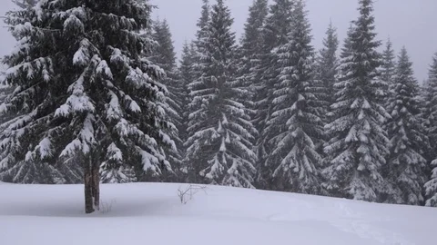 Snowfall in the mountains Stock-Footage 84814307
