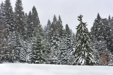 Snowfall in the mountains Foto stock