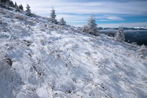 Snowfall on the mountainside close-up. 写真素材