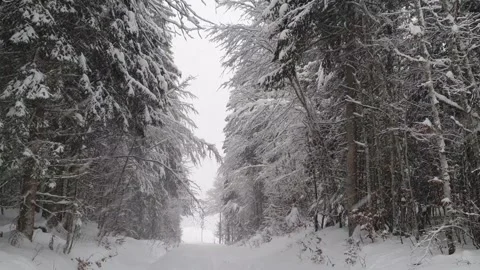 Snowfall in moutain Stock Footage 146225241