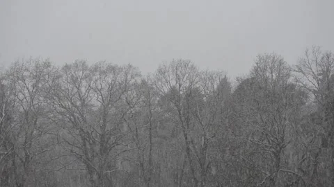 Snowfall on an muddy day Stock Footage 171687469