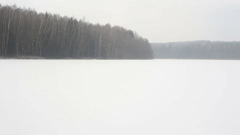 Snowfall near the forest Vidéo 84641445