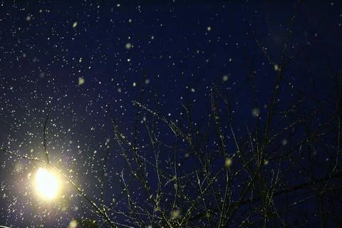  snowfall at night and lantern Foto stock
