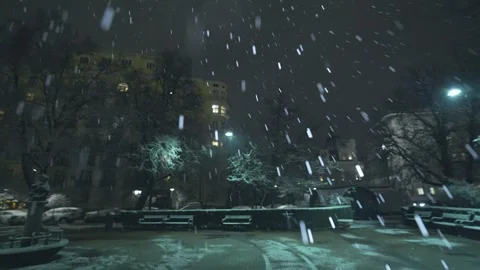 Snowfall at night in a city park in Sofia city Stock Footage 328315401