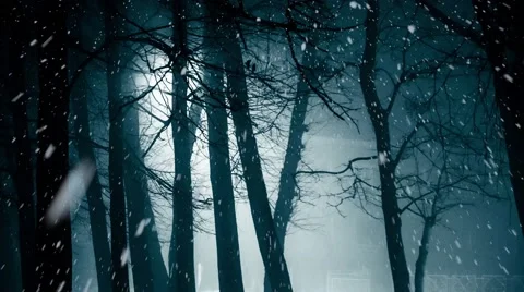 Snowfall in the night Stock Footage 68726871