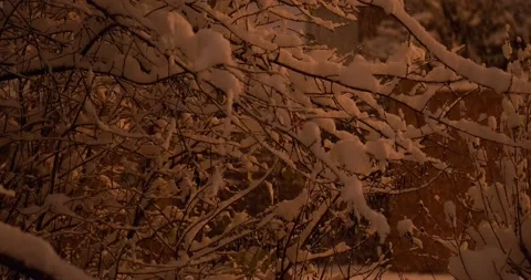 Snowfall at night Stock Footage 146479332