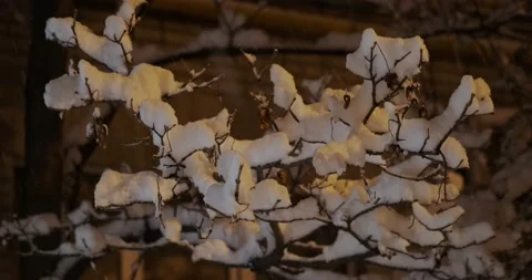 Snowfall at night Stock Footage 146479797