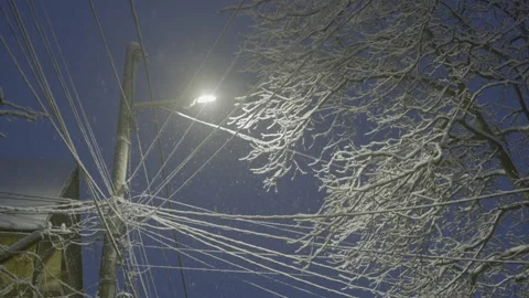 Snowfall at night Video stock 230031866