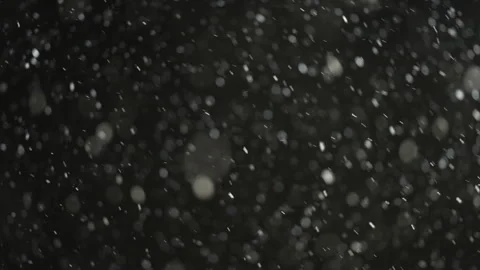 Snowfall at night Stock Footage 322041363