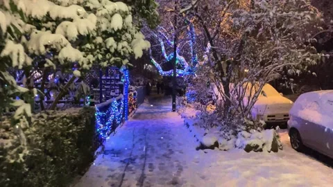 Snowfall in Night Sky with Falling Snowflakes Stock Footage 330278455