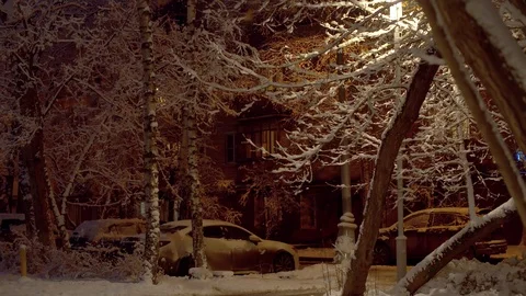 Snowfall in the night time Stock Footage 123154234