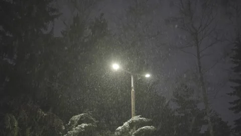 Snowfall at Night Under the Streetlight 2 Video stock 301248933