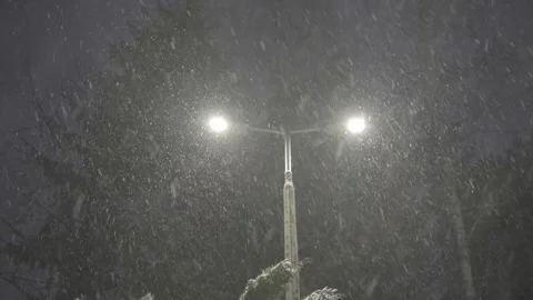 Snowfall at Night Under the Streetlight Stock Footage 301248932