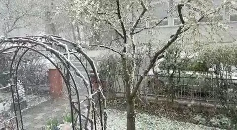 Snowfall outside Stock Footage 223656534