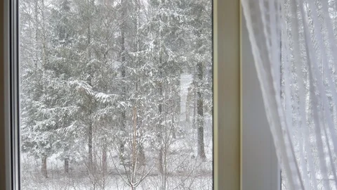 Snowfall outside the window and a winter forest.  Stock Footage 125000778
