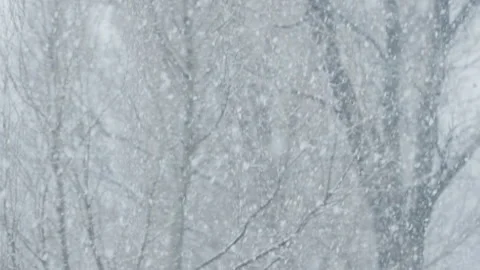 Snowfall outside window. Snow covered trees are like in fairy tale. Thick snow Stock Footage 254522929