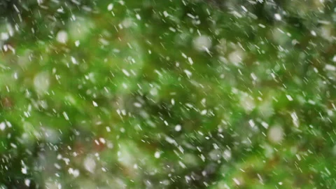 Snowfall outside the window turns the green forest into a majestic landscape of Stock Footage 293139180