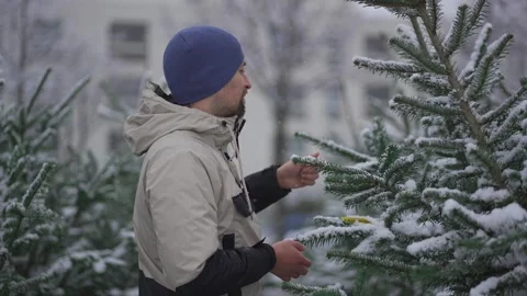 Snowfall over a Christmas tree farm, young man selects a pine among rows of Stock-Footage 321424982