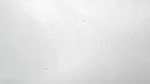 Snowfall over clean white winter ground surface Stock Footage 321771134
