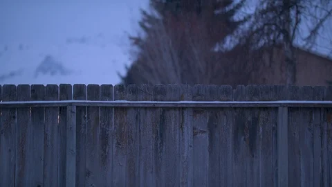 Snowfall Over a Fence Stock Footage 88410654