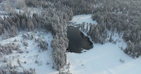 Snowfall over a forest lake. Icy dark water is pulled together by ice Stock Footage 230262175