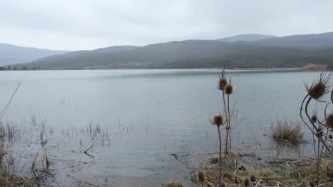 Snowfall over the lake. A cloudy winter day. Video stock 206693684