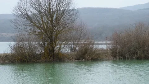 Snowfall over the lake. A cloudy winter day. Video stock 206695075