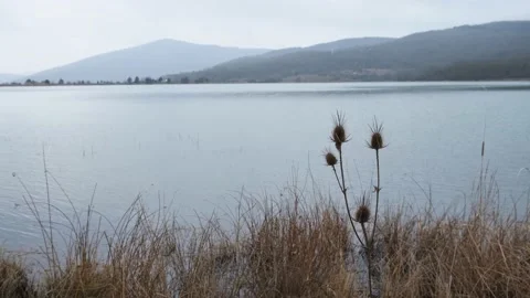 Snowfall over the lake. A cloudy winter day. Video stock 217424959