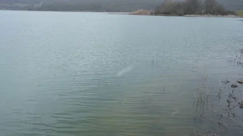 Snowfall over the lake. A cloudy winter day Video stock 230014609