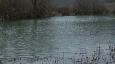 Snowfall over the lake. A cloudy winter day. Video stock 231142390