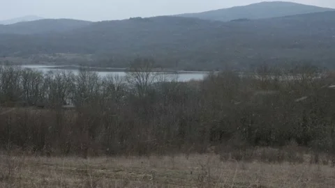 Snowfall over the lake. A cloudy winter day. Stock Footage 231142455