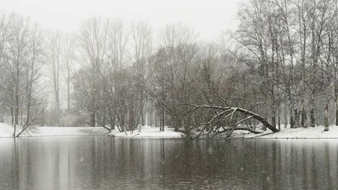 Snowfall over the lake Vídeo Stock 75036685