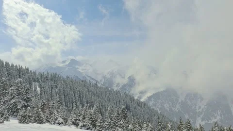 Snowfall over mountains and tree. Stock Footage 271070508