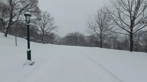 Snowfall Over Quiet Winter Park Stock Footage 323423170