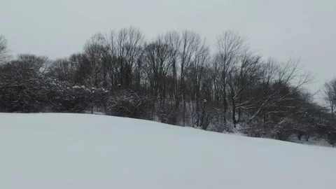 Snowfall Over Quiet Winter Park With Bare Trees Stock Footage 323423331