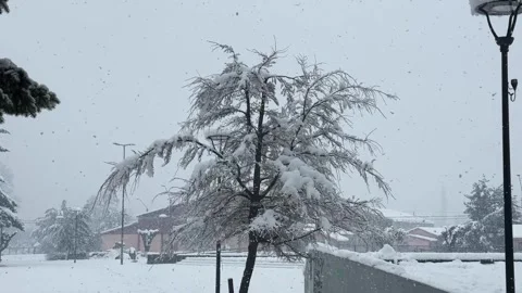 Snowfall Over Snow Covered Trees and Streets in Melipeuco Chile Winter Scene at Stock Footage 346618826