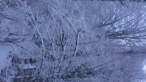 Snowfall over the winter forest. The view from the top. Stock Footage 124274535