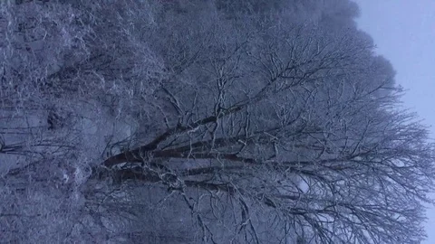 Snowfall over the winter forest. The view from the top. Stock Footage 124274867
