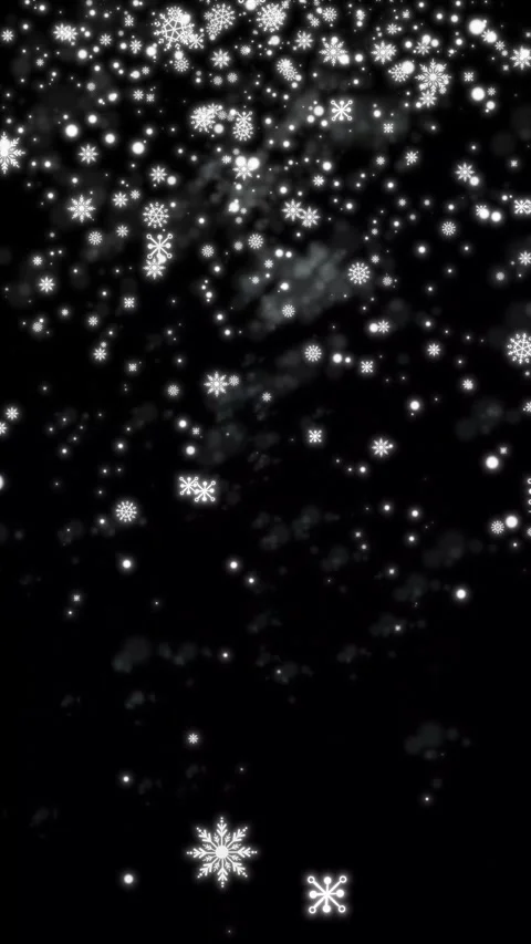 Snowfall overlay black background, beautiful realistic snowflakes falling a.. 스톡 동영상 346303824